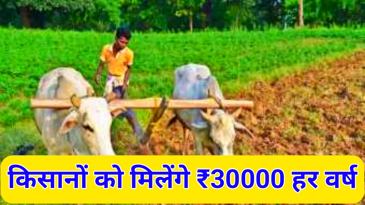 Agriculture Business Scheme