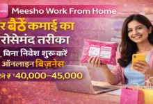 Meesho Work From Home 2025
