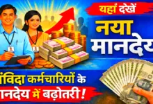 Contract Employee News