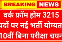 Mukhyamantri Work From Home Yojana 2026