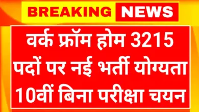 Mukhyamantri Work From Home Yojana 2026