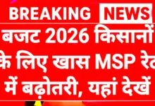 Budget 2026 For Farmers PM Kisan